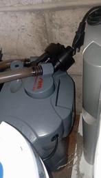 Lots de pompe d'aquarium, Poisson, Poisson d'eau douce