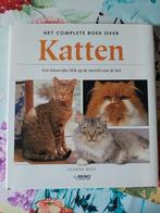Yvonne Rees - Complete boek over katten, Boeken, Dieren en Huisdieren, Ophalen of Verzenden, Zo goed als nieuw, Katten, Rees