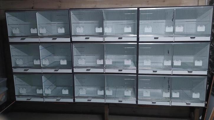 Kunststof kweekkooien, Dieren en Toebehoren, Vogels | Hokken en Kooien, Nieuw, Broedkooi of Kweekkooi, Kunststof, Ophalen