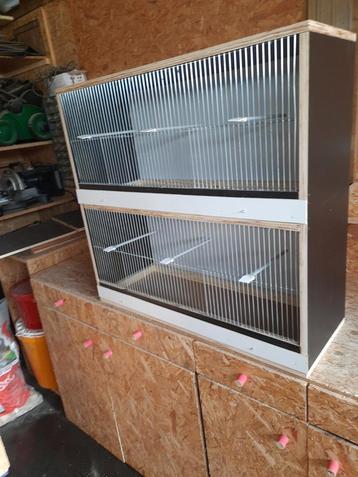 Nieuw vogelkooi  beschikbaar voor biedingen