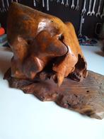 Hout fossiel  uniek zeer mooi gemonteerd op houten voetstuk, Ophalen