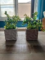 Kunstplanten als nieuw!, Huis en Inrichting, Ophalen
