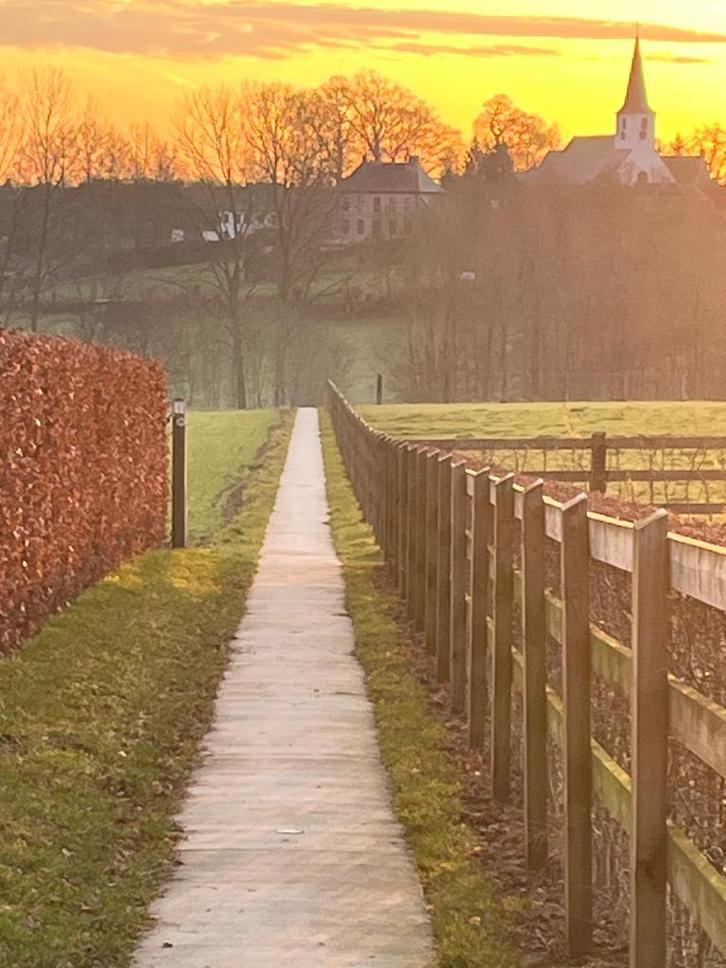 Wandelmaatje(Dame), Contacten en Berichten, Vriendschappen