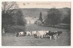 Tilff Une vue du Parc de Colonster (vaches), Collections, Envoi, Affranchie, Liège