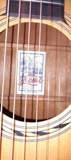 Balai pour guitare avec étui et support, Enlèvement, Neuf, Guitare classique ou espagnole, Avec valise