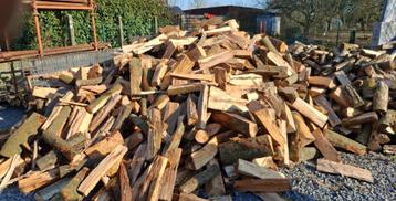 Bois de chauffage dispo de suite  beschikbaar voor biedingen