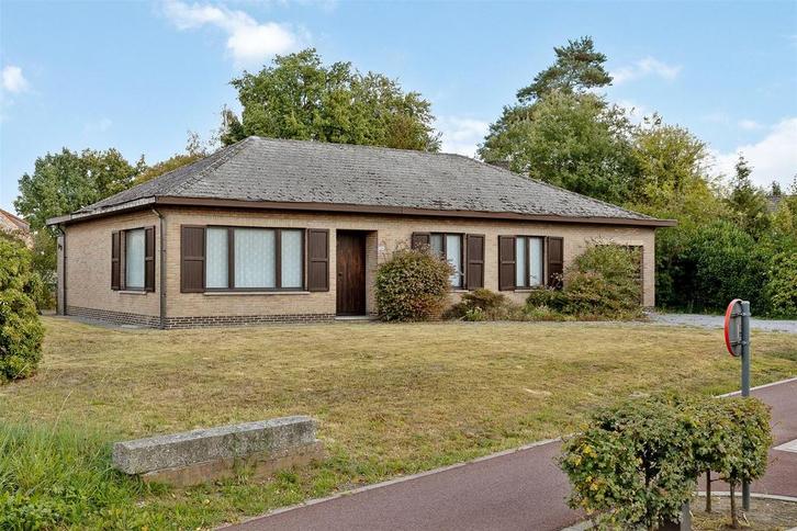 VRIJSTAANDE WONING MET 3 SLAAPKAMERS OP 740 M² TE WESTERLO!, Immo, Huizen en Appartementen te koop, Provincie Antwerpen, 500 tot 1000 m²