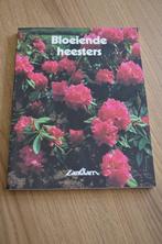 Bloeiende heesters De lantaarn, Ophalen of Verzenden, Gelezen, De lantaarn, Tuinieren en Tuinplanten