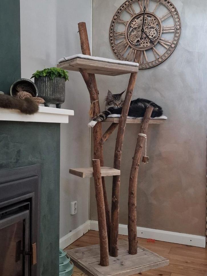 Krabpalen en klimbomen, Dieren en Toebehoren, Katten-accessoires, Ophalen