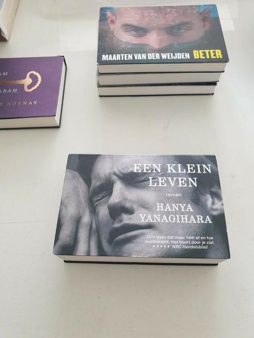 Hanya Yanagihara - Een klein leven. DWARSLIGGER NR 469, Boeken, Literatuur, Zo goed als nieuw, Ophalen of Verzenden