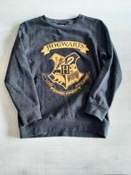 Lot 10007. Harry potter hogwarts trui maat 134 140.  4 euro, Overige typen, Gebruikt, Ophalen of Verzenden