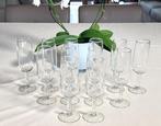12 x champagneglazen / champagne coupes / klassiek model, Ophalen of Verzenden, Zo goed als nieuw, Overige typen