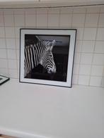 2 kaders 50 op 50, Enlèvement