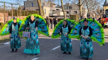 Unieke kleurrijken pauwen carnavalspakken. beschikbaar voor biedingen