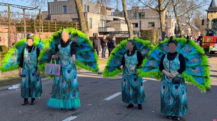 Unieke kleurrijken pauwen carnavalspakken. Loopgroep, Hobby & Loisirs créatifs, Articles de fête, Comme neuf, Article de fête
