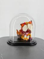 Glazen stolp met droogbloemen en oranje vlinders