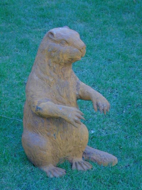 Standbeeld van een levensgrote bever in roestig gietijzer., Tuin en Terras, Tuinbeelden, Nieuw, Dierenbeeld, Metaal, Ophalen