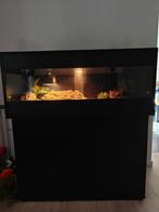 OSB terrarium te koop met bijhorende kast 1,20m x 50cm, Ophalen of Verzenden, Gebruikt, Terrarium of Paludarium