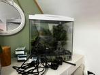 Aquarium 32x22 cm met pomp, filter en accessoires, Ophalen, Zo goed als nieuw, Leeg aquarium
