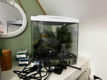 Aquarium 32x22 cm met pomp, filter en accessoires beschikbaar voor biedingen