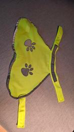 Fluo vestje hond, Dieren en Toebehoren, Ophalen
