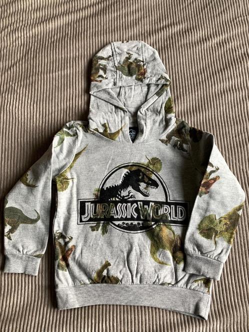 Hoodie voor jongens grijs Jurassic World Aldi 110 nieuwstaat, Enfants & Bébés, Vêtements enfant | Taille 110, Neuf, Garçon, Pull ou Veste