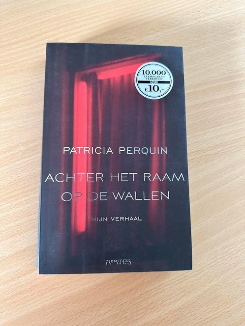 Patricia Perquin - Achter het raam op de wallen, Livres, Livres Autre, Enlèvement ou Envoi