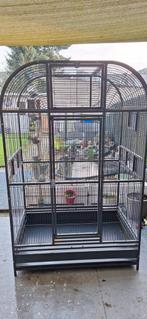 Papagaai kooi, Comme neuf, Enlèvement, Métal, Cage à oiseaux