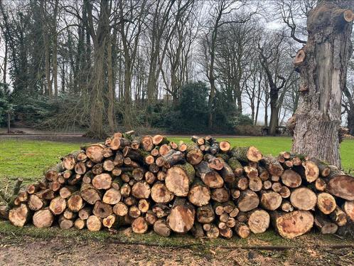Brandhout, Tuin en Terras, Brandhout, Ophalen