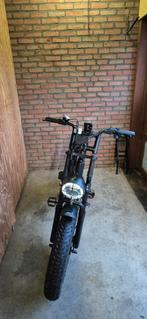 Fatbike v20, Fietsen en Brommers, Ophalen