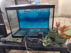 Superfish aquarium incl. Toebehoren, Dieren en Toebehoren, Vissen | Aquaria en Toebehoren, Ophalen, Gebruikt