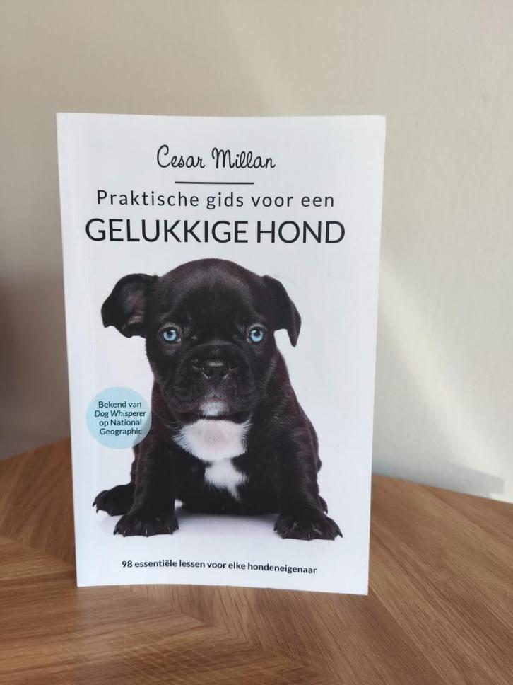 Boek 'Praktische gids voor een gelukkige hond', Boeken, Dieren en Huisdieren, Zo goed als nieuw, Honden, Ophalen of Verzenden