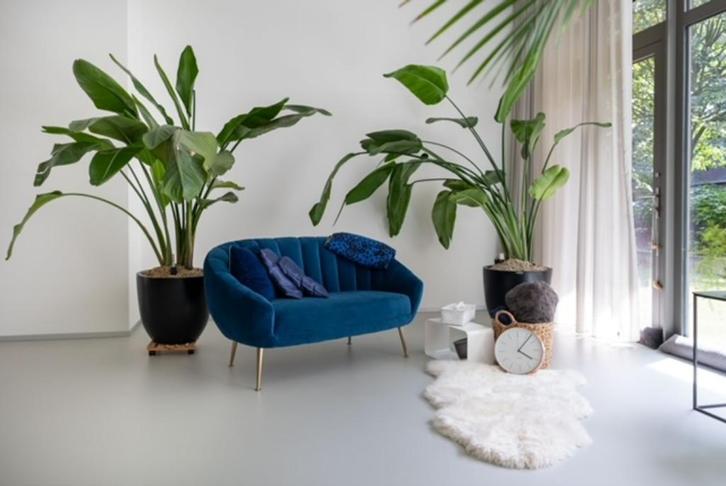 TE HUUR STIJLVOLLE PRAKTIJK OP TOPLOCATIE 'T ZUID ANTWERPEN, Immo, Huizen te huur, Antwerpen (stad)