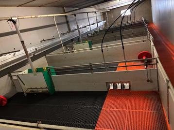 Hokinrichting voor biggen [410]