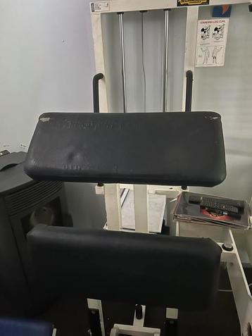 Technogym Standing leg curl beschikbaar voor biedingen