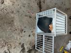 Autobench, Dieren en Toebehoren, Ophalen