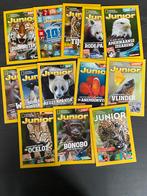 13 tijdschriften National Geographic Junior, Boeken, Tijdschriften en Kranten, Ophalen of Verzenden, Zo goed als nieuw