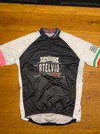 Nieuw fietsshirt Stelvio Xl, Fietsen en Brommers, Ophalen of Verzenden, Zo goed als nieuw, XL