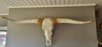 Longhorn schedel "ECHTE", Huis en Inrichting, Woonaccessoires | Wanddecoraties, Zo goed als nieuw, Ophalen