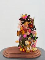 Opgezette Vlinders in Glazen Stolp - Wildernis Atelier, Verzamelen