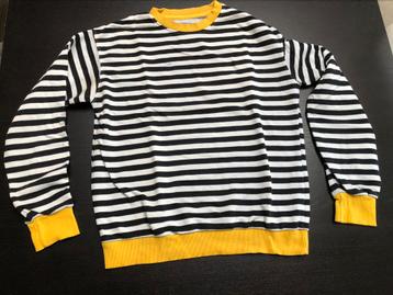 Pull rayé ou pull taille M, Taille 38/40 (M), Enlèvement ou Envoi, Bershka, Porté