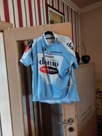 Wielershirt + broek : Domo-Farm Frites, Kleding | Heren, Sportkleding, Vermarc, Maat 56/58 (XL), Hardlopen of Fietsen, Gedragen