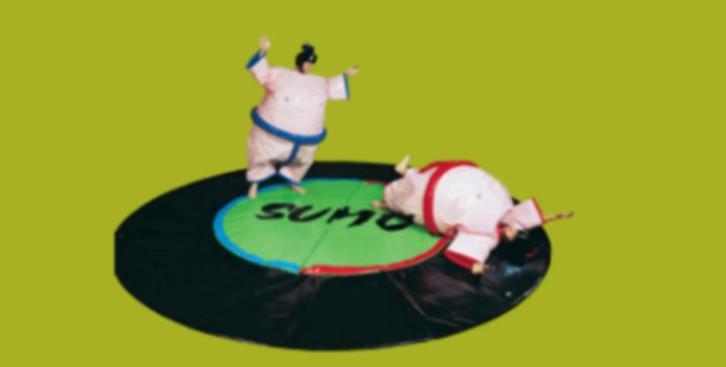 MEGA-ACTIE!! PRIJSVERLAGING Van 250€ voor Sumo worstelset., Hobby en Vrije tijd, Feestartikelen | Verhuur, Gebruikt, Ophalen