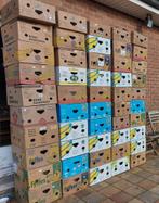 Bananendozen en gewoon dozen voor verhuizing of opbergdozen, Ophalen of Verzenden, Zo goed als nieuw