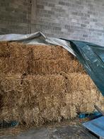 Petites ballots de paille, Enlèvement