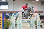 Trainen van paarden, Dieren en Toebehoren, Paarden, Zadelmak
