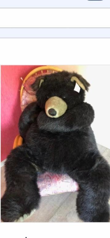 Hele grote bruine kwaliteitsbeer met naamkaartje. beschikbaar voor biedingen