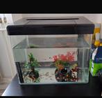 Juwel aquarium met filter, Ophalen, Zo goed als nieuw