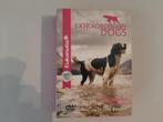 Eukanuba Extraordinary Dogs The complete TV Series (3 dvds), CD & DVD, DVD | Documentaires & Films pédagogiques, Enlèvement ou Envoi