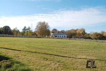 Terrain à vendre à Gouvy disponible aux enchères